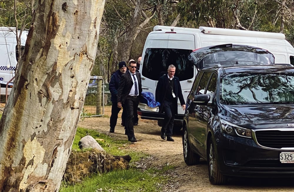 Williamstown remains identified as a missing person post image