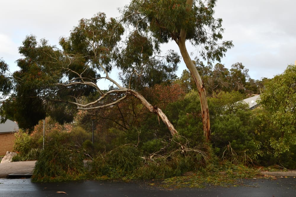 Weather it’s enough post image