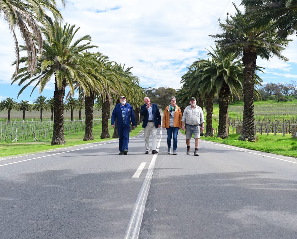 Palm Read: Council to investigate management of 56 Seppeltsfield Road palms post image