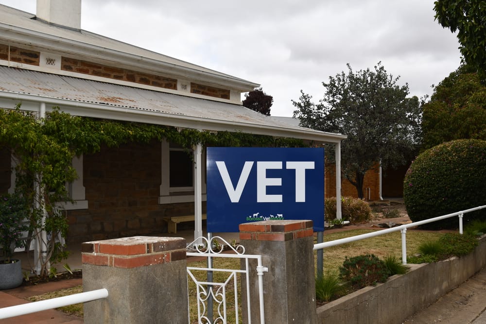 Prioritising workplace culture and professionalism post image