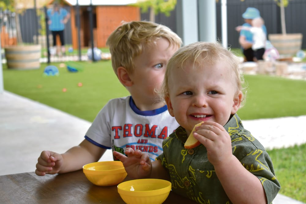 Up and going at Freeling post image