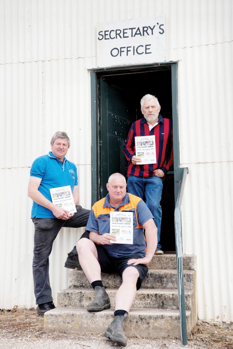 Angaston Show needs you! post image