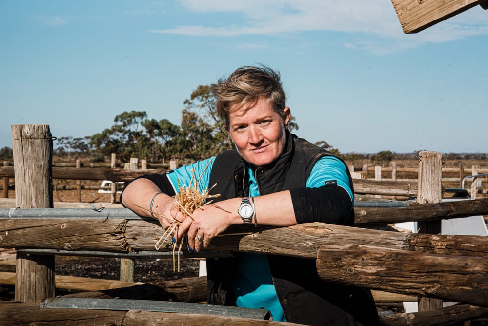 Hay shortage biting hard post image