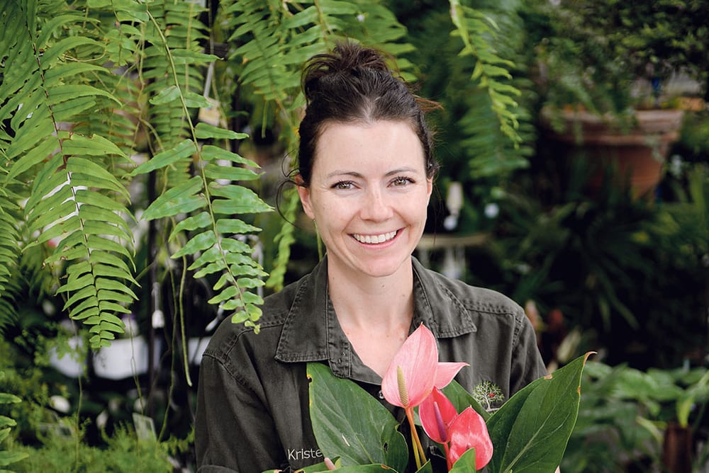 June in the garden post image