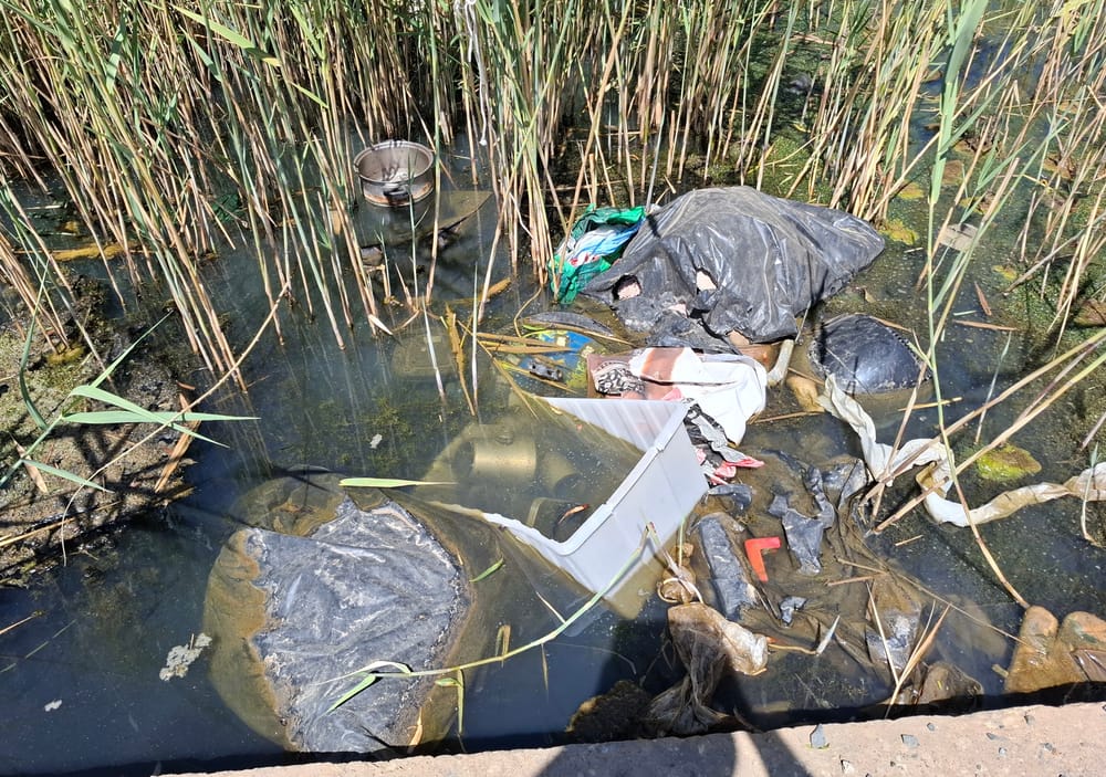 Concerns over impact of illegal dumping post image