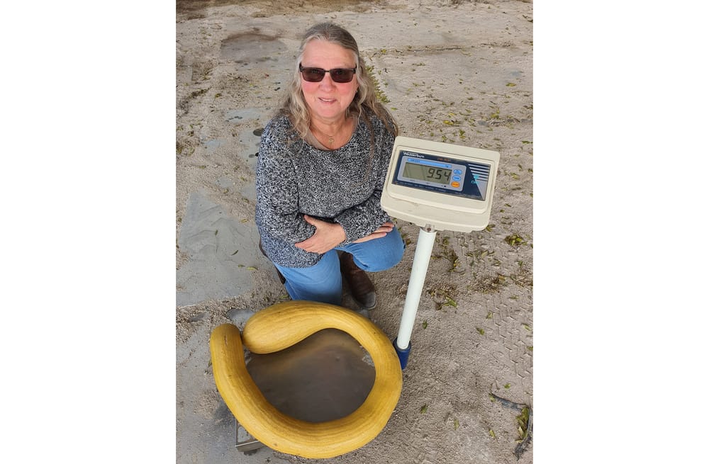 Andrea and her terrific tromboncino post image