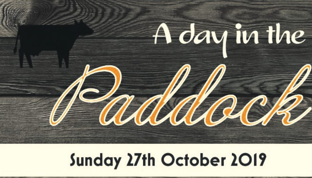 Join us in the paddock post image