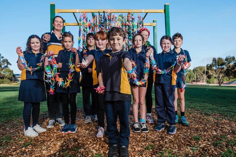 Lyndoch Primary School students send 1,000 paper cranes to Japan for peace post image
