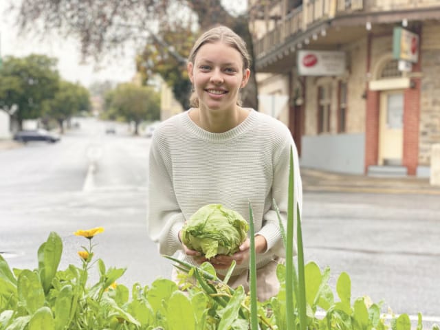Barossa consumers hit an Iceberg post image