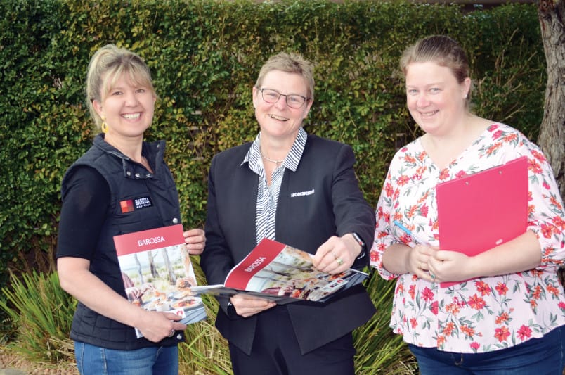 Vintage Festival will be our silver lining post image