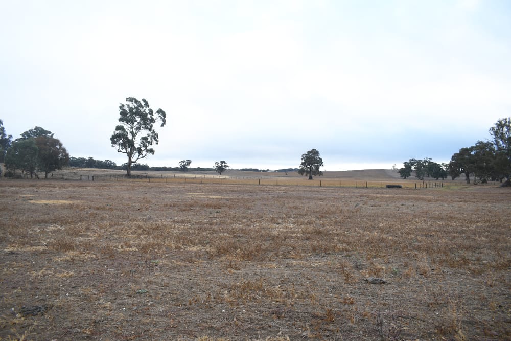 Housing boom for Keyneton considered as DA lodged post image