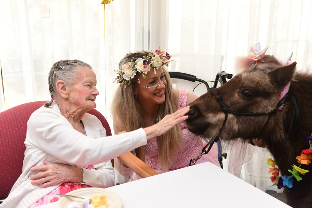 A unicorn and a fairy for Viola's 100th post image