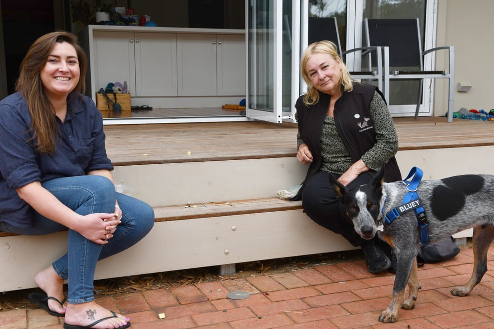 Barossa gets its own Bluey post image