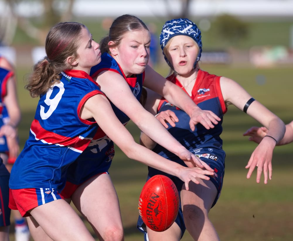 New pathway being forged for young female footballers post image