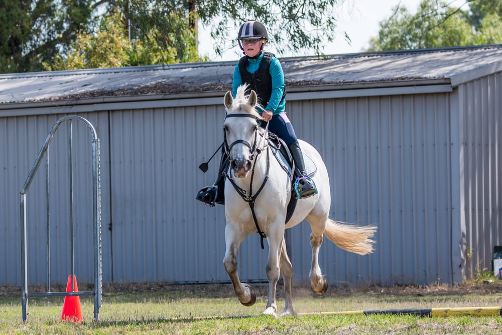 Mt Pleasant Pony Club hosts debut event for 2025 post image