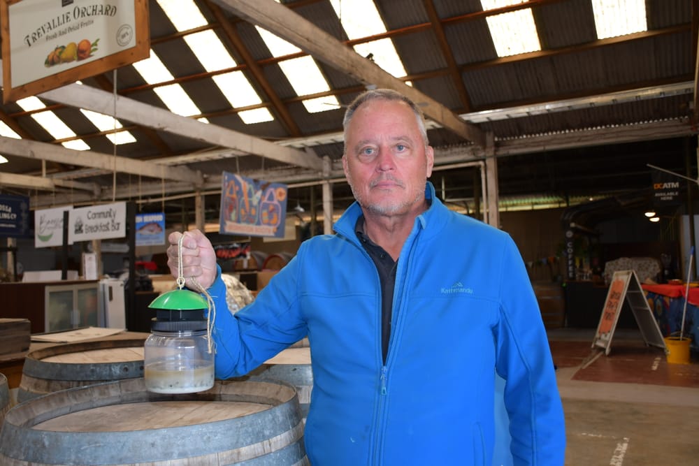 What’s the buzz? post image