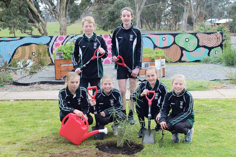Keyneton Primary School celebrate National Tree Day post image