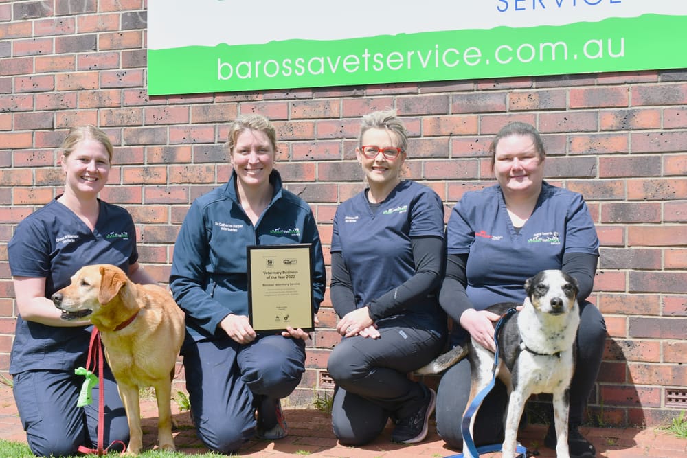 Barossa vet wins Business of the Year post image