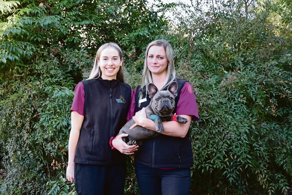 The unsung heroes of the veterinary world post image