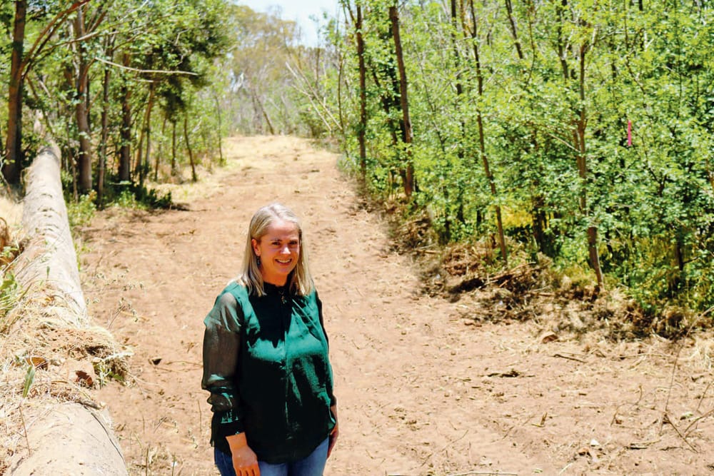 Nominate in Council elections post image