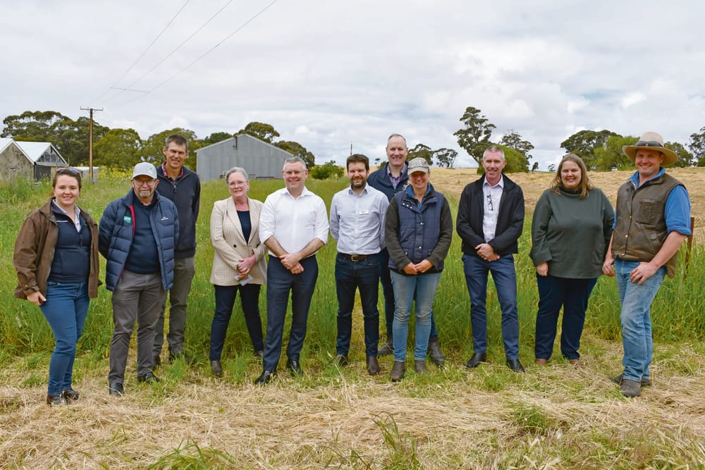 Trial sites helping improve pastures post image