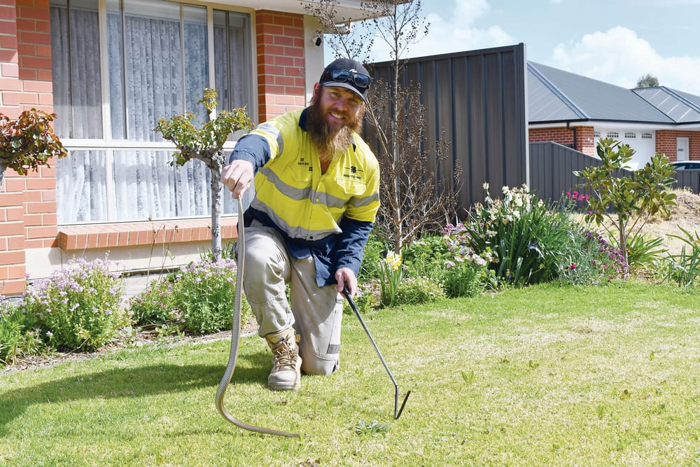 Be safe and vigilant as snake season begins post image