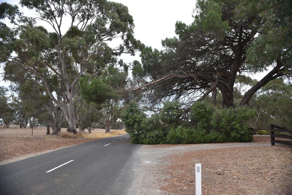 Tree down on Flaxmans Valley Road post image