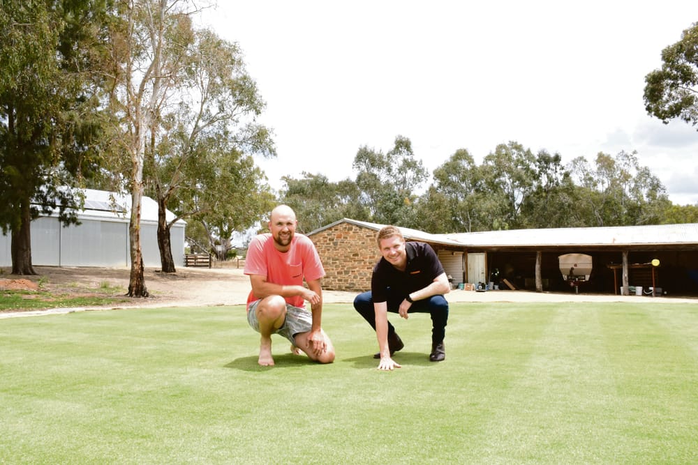 Green dream at Springton voted best lawn post image