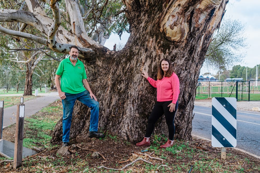 Is this where Barossa began? post image