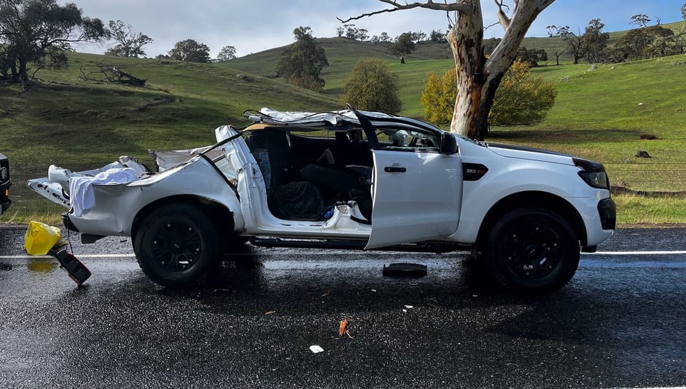 Ute crushed by tree at Williamstown post image