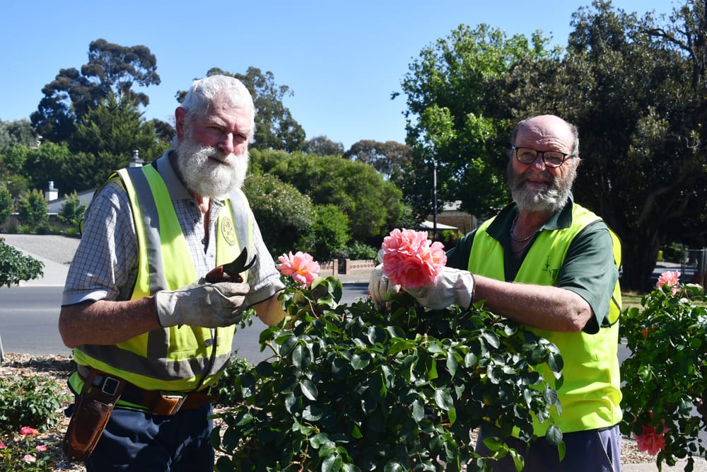 Bloomin’ lovely roses flourish around the Barossa post image