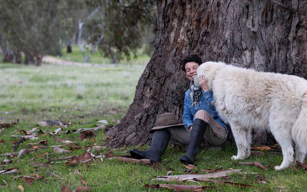 For the love of the flock post image