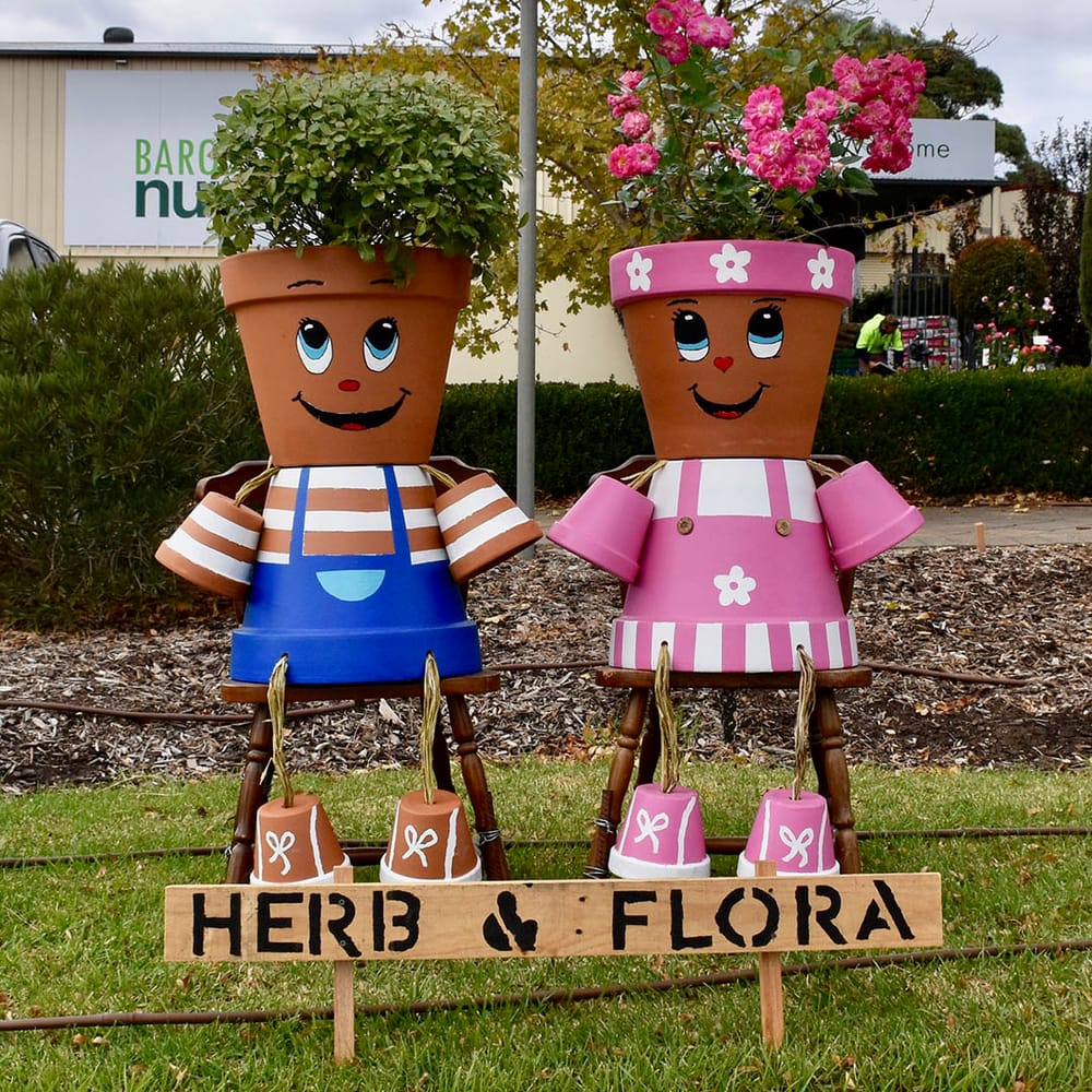 2019 Barossa Scarecrows post image