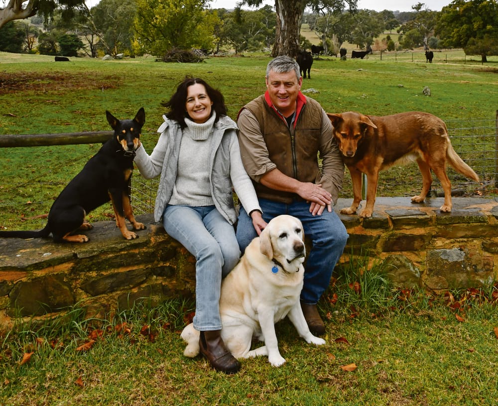 Warmer winter one prediction post image