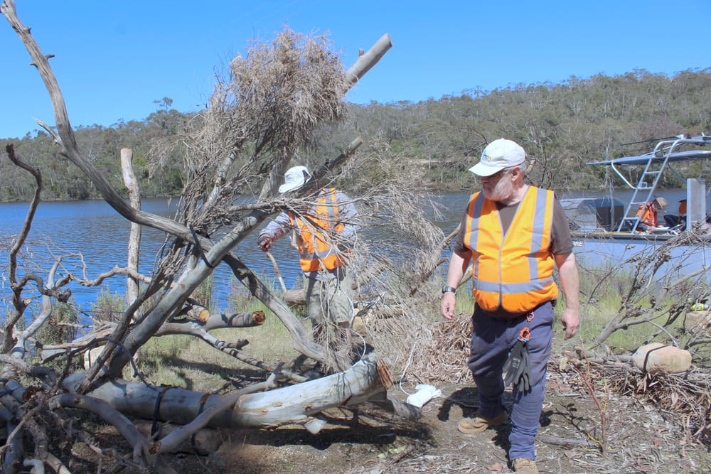 Housing boom for fish in Warren Reservoir post image
