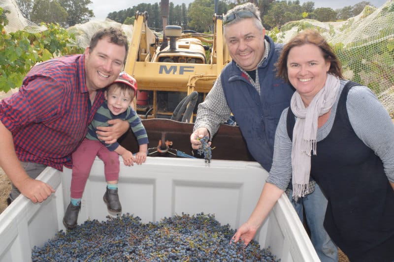 Quality over quantity for 2019 vintage post image