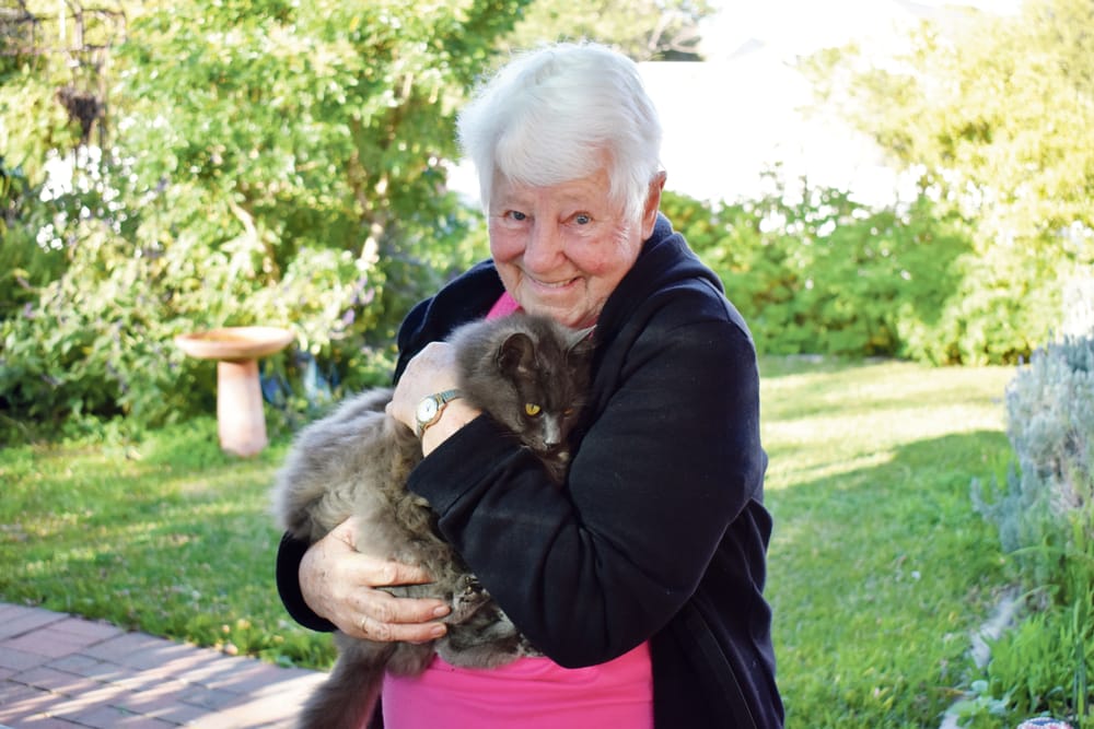 Beloved Puss Puss returns post image