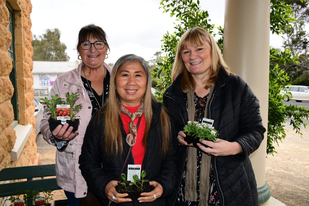 Garden recovery after flood workshop post image