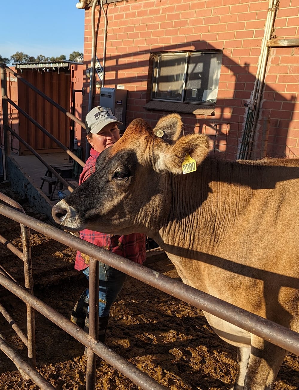 Cream of the crop has a new home post image