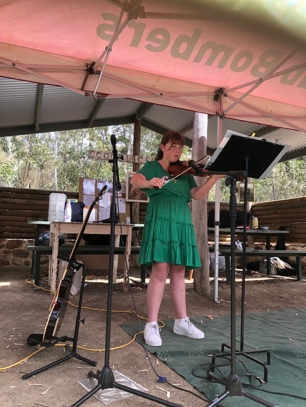 St Patrick’s Day Picnic at the Pines post image