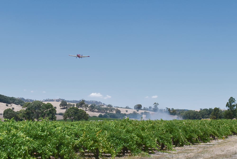 Fire at Lyndoch vineyard post image