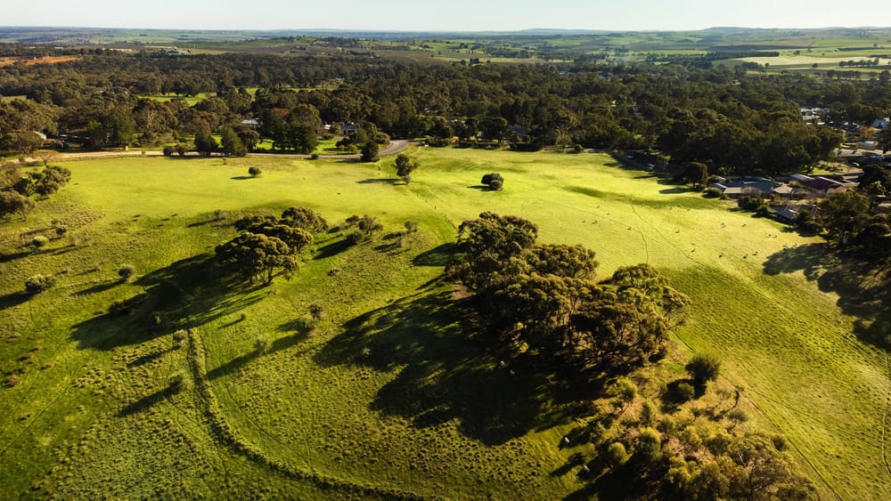 Lyndoch land release is being snapped up post image