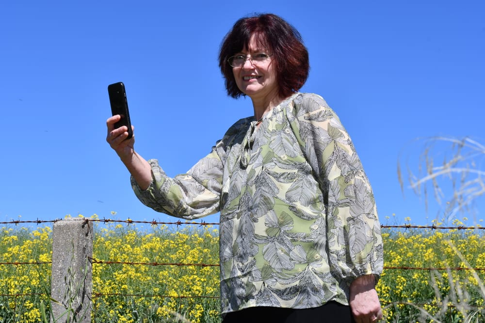 Don’t trespass for a ‘canola selfie’ post image