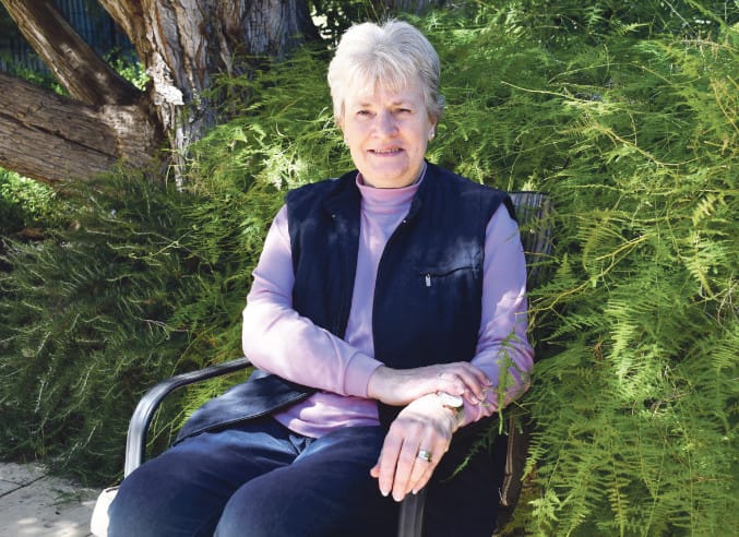 Ann retires from local government post image