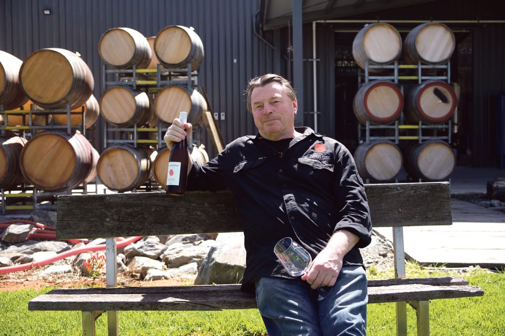 Successful Shed Day for Vine Vale Winemakers post image