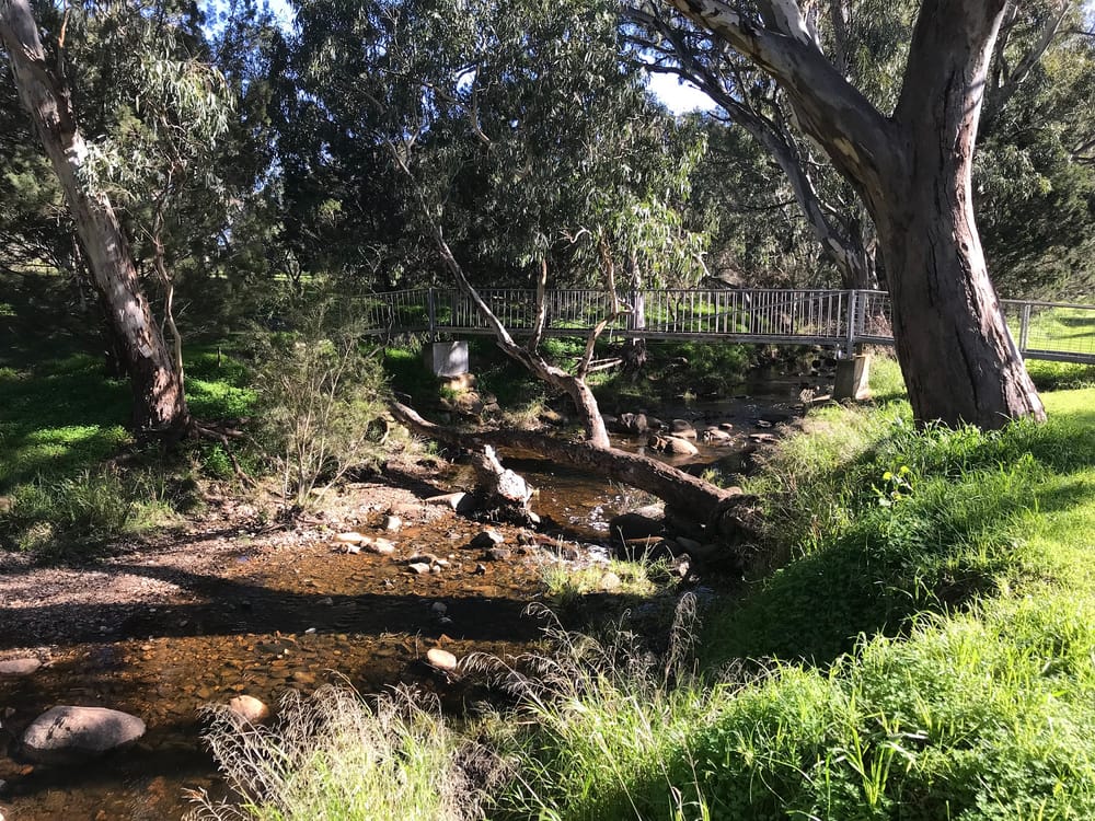Barossa water decline informs amended plan post image