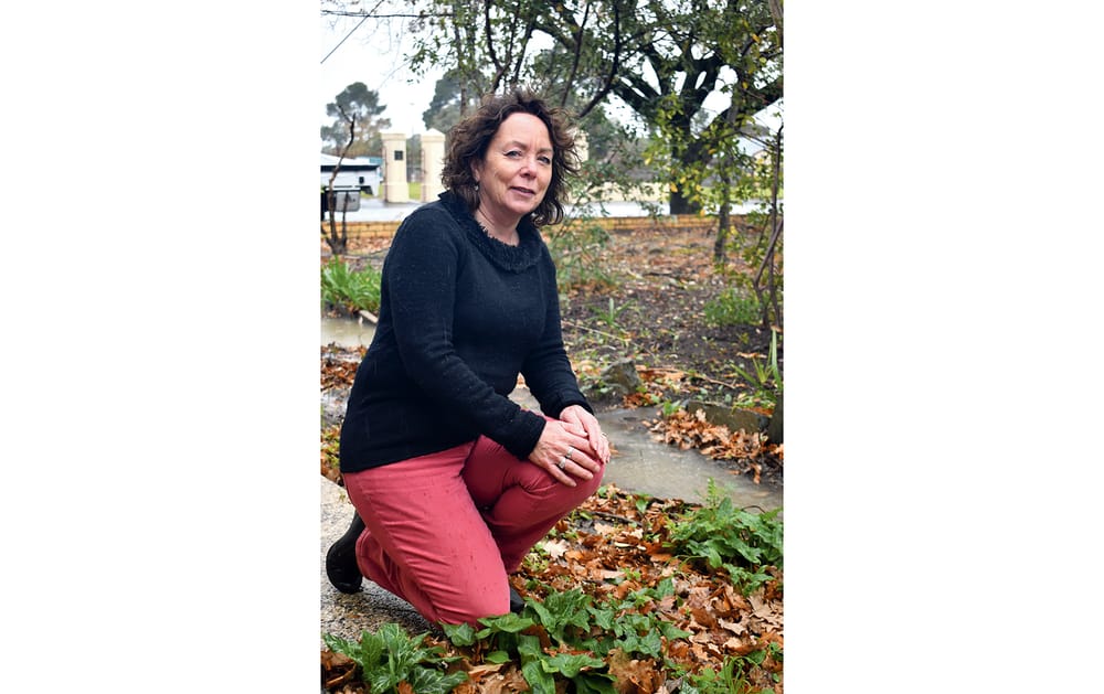 A stormy problem post image