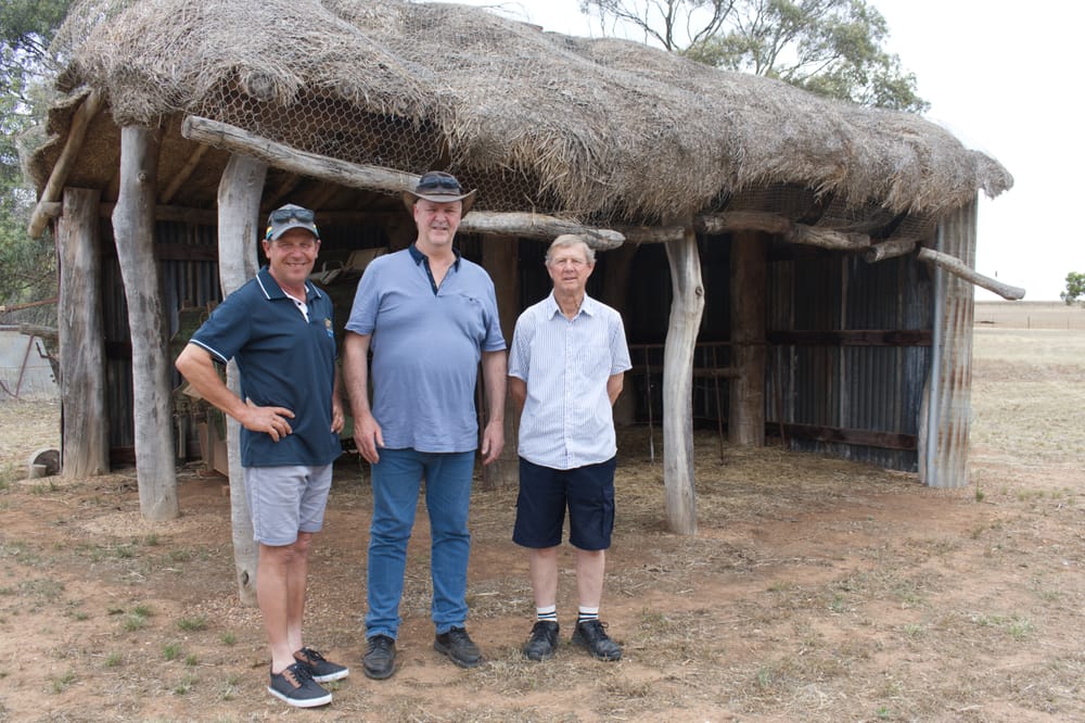 The reason for the season at Moculta post image