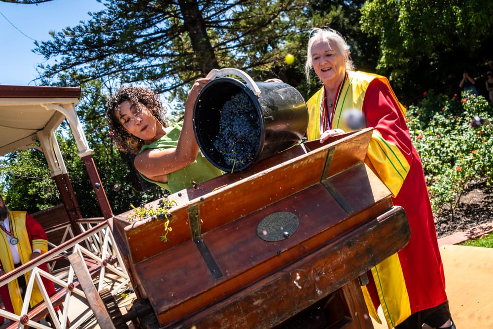 Declaration of Vintage at Tanunda post image