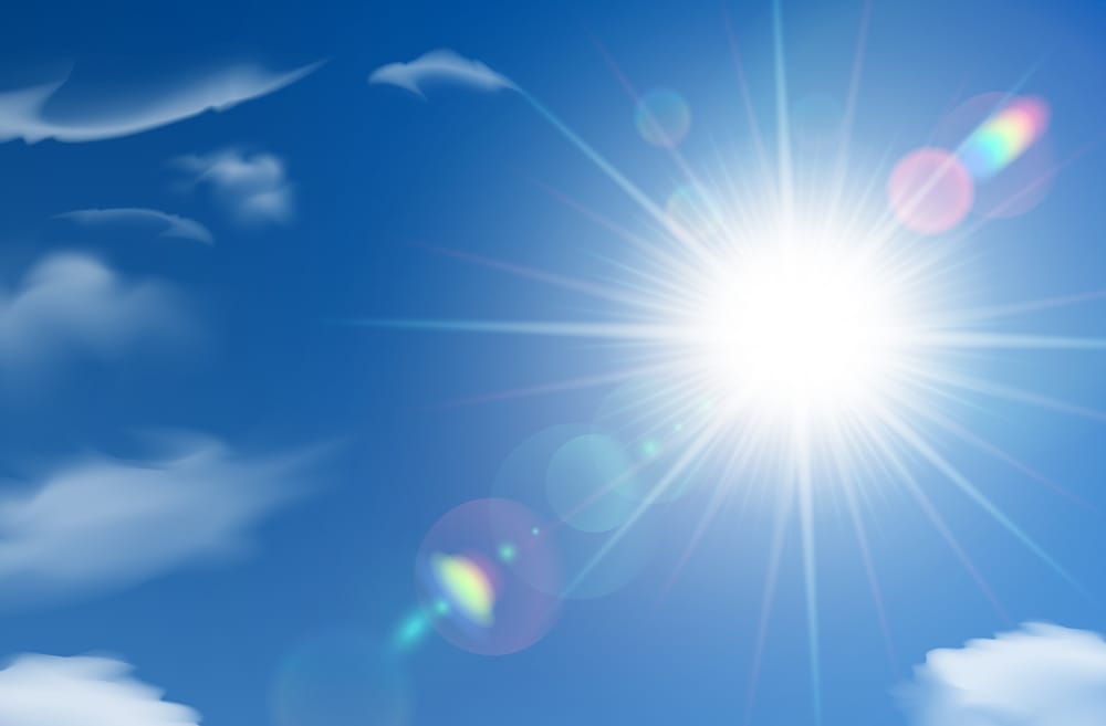 Barossa sizzles through a hot January post image